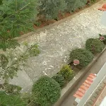 Apartman In With Sea View, Terrace, Air Conditioning, Wifi 633-2 *